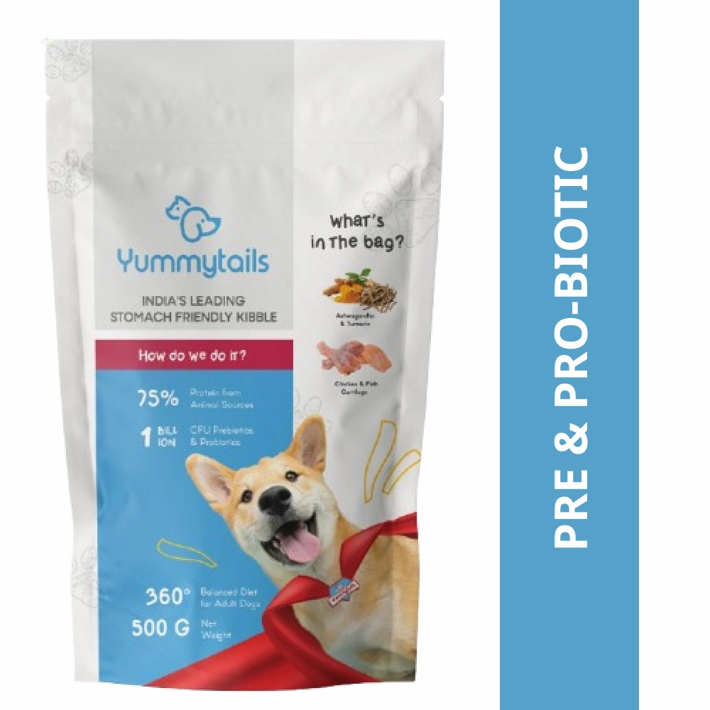 Yummytails Chicken and Fish Premium Adult Medium and Large Dog Dry Food