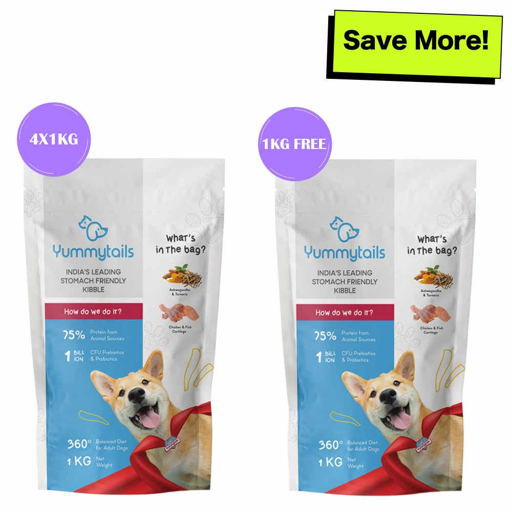 Yummytails Chicken and Fish Premium Adult Medium and Large Dog Dry Food