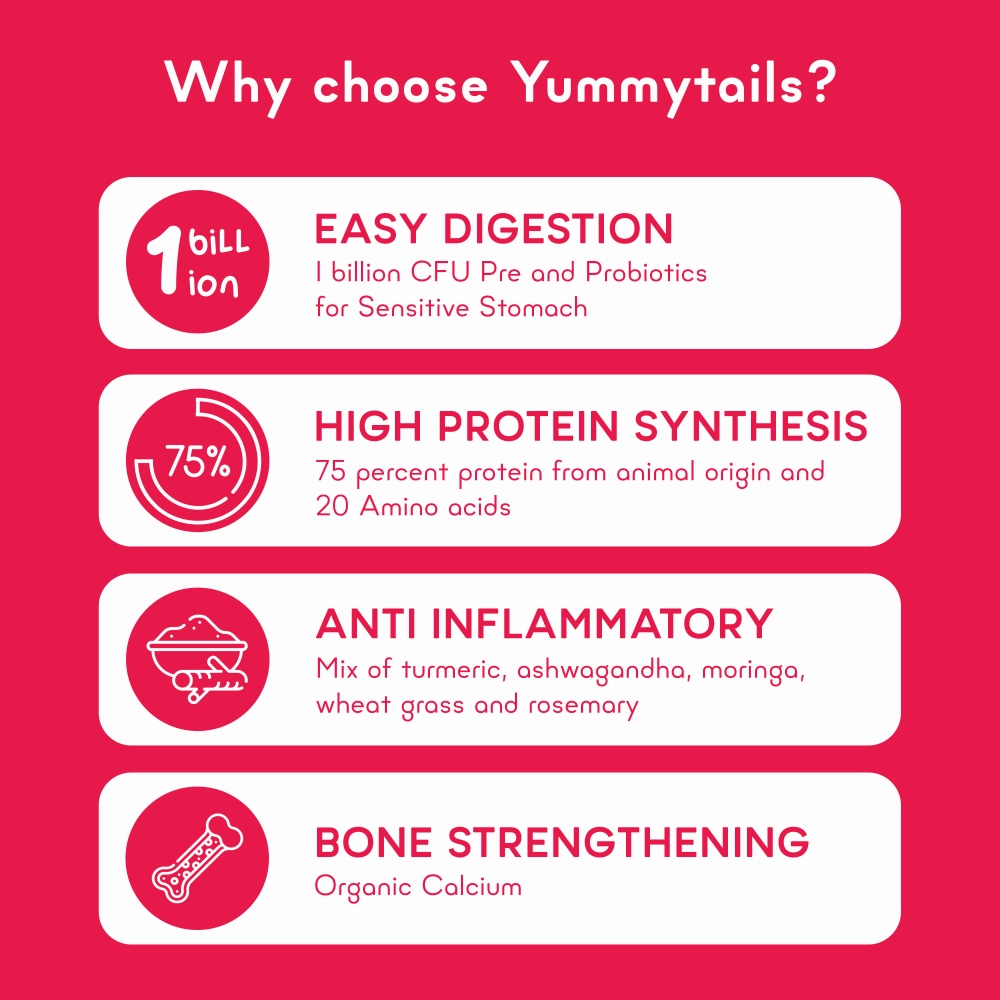 Yummytails Chicken and Fish Premium Adult Medium and Large Dog Dry Food