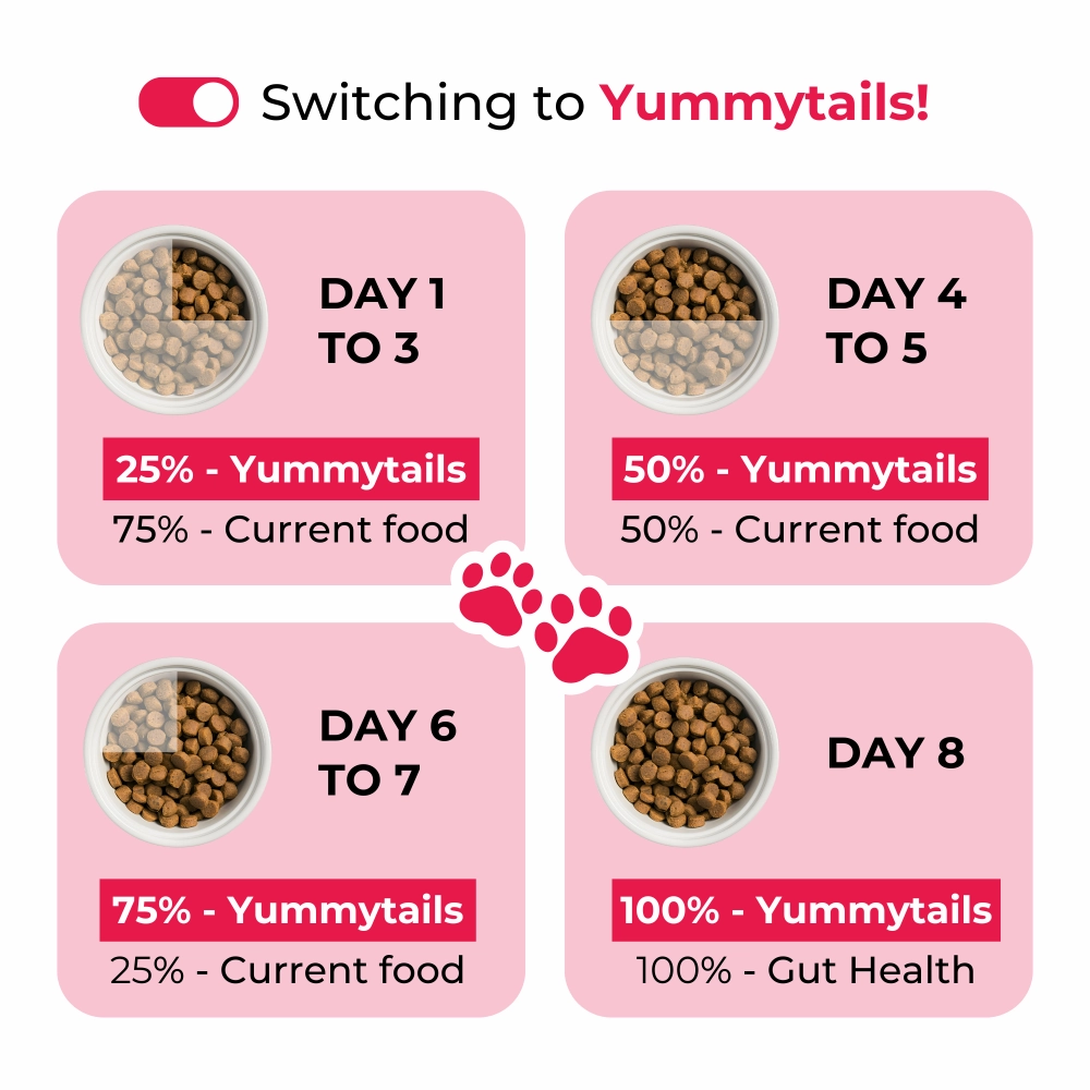 Yummytails Chicken and Fish Premium Adult Medium and Large Dog Dry Food