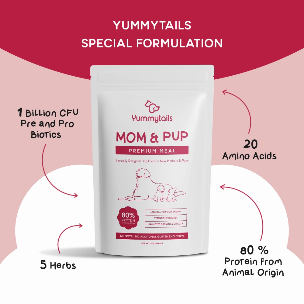 Yummytails Super Premium Mother and Puppy Dry Food | Chicken & Fish Flavor | Corn and Soya Free Formula