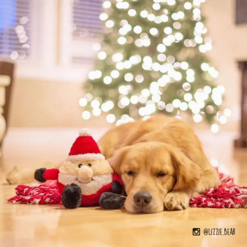 ZippyPaws - Holiday Brainey - Santa