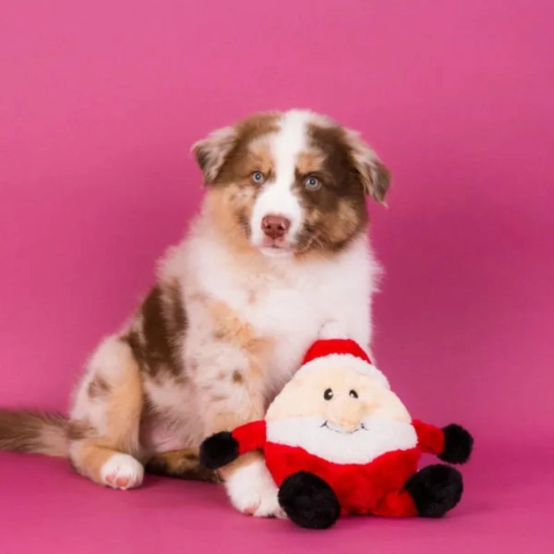 ZippyPaws - Holiday Brainey - Santa