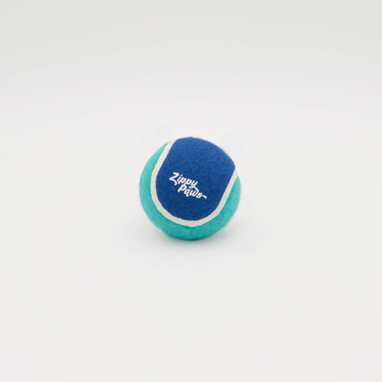 ZippyPaws - ZippyBallz Blue & Teal