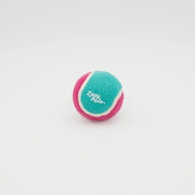 ZippyPaws - ZippyBallz Teal & Pink