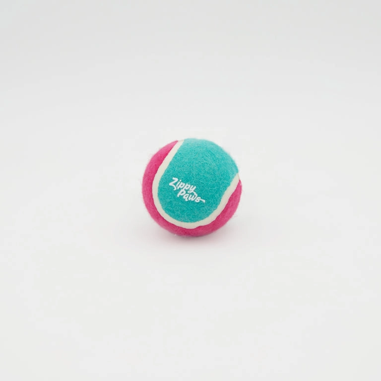 ZippyPaws - ZippyBallz Teal & Pink