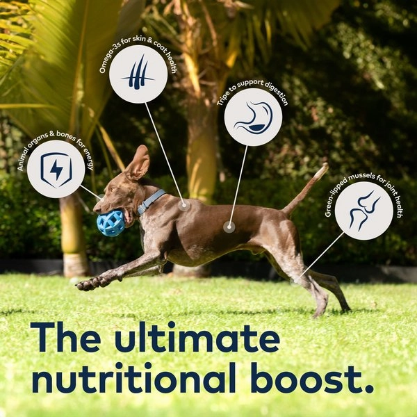 ZIWI Peak Grain Free Venison Recipe Canned Dog Food