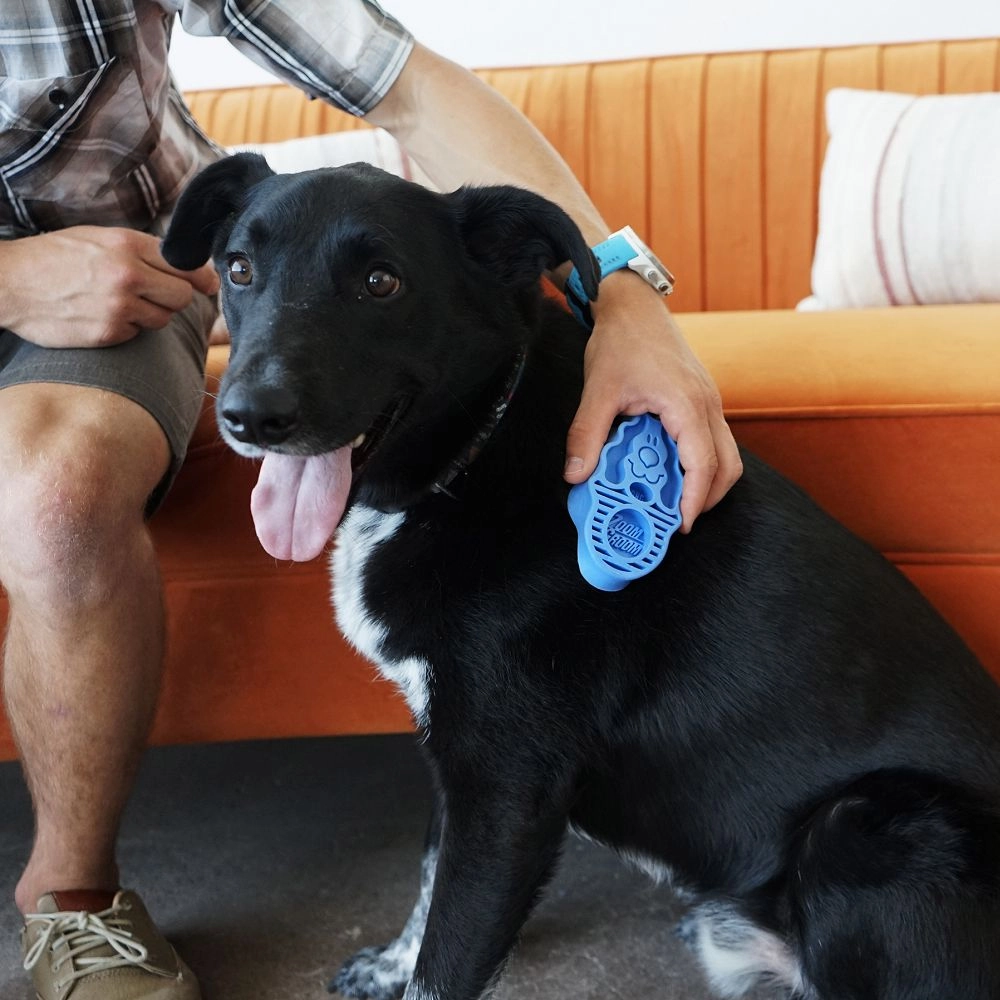 Zoom Groom Dog Multi-Use Brush