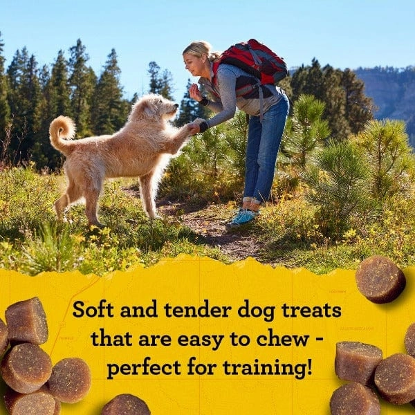 Zuke's Mini Naturals Peanut Butter & Oats Recipe Dog Treats
